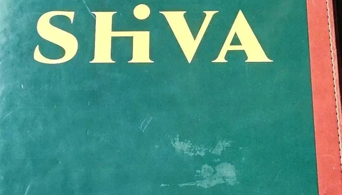 Shiva Restaurant And Bar -  Videa - M. Švabinského 140/35
