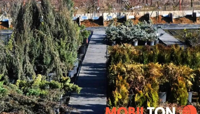 Skolni Statek Melnik Od Vlastnika - Dobrovského 1777/12