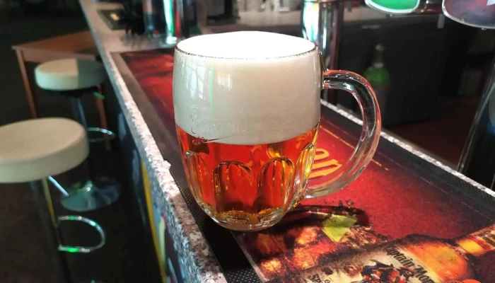 Sport Bar Kuzelna Jihlava Pub - E. Rošického 2684/6