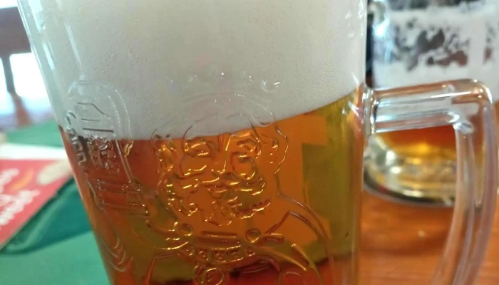 Sport Bar Kuzelna Jihlava Sportovni Bar - E. Rošického 2684/6