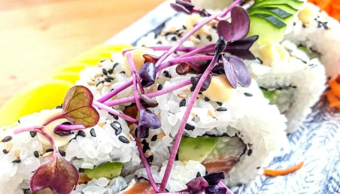 Sushi Corso -  Oblast - Nám. Na Sádkách 701