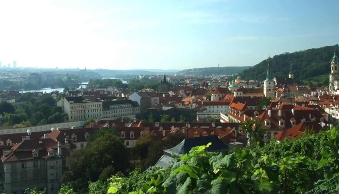 Svatovaclavska Vinice Hodnoceni - Praha 1-hradčany