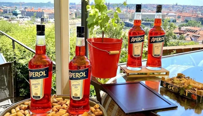 Svatovaclavska Vinice Jidlo A Piti - Praha 1-hradčany