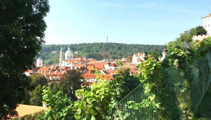 Svatováclavská Vinice - Praha 1-Hradčany