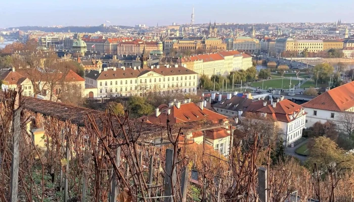 Svatovaclavska Vinice Restaurace - Praha 1-hradčany