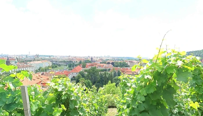 Svatovaclavska Vinice Street View A 360deg - Praha 1-hradčany