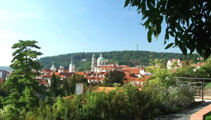 Svatovaclavska Vinice Webova Stranka - Praha 1-hradčany