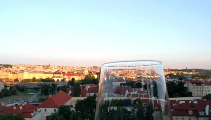 Svatovaclavska Vinice čislo - Praha 1-hradčany