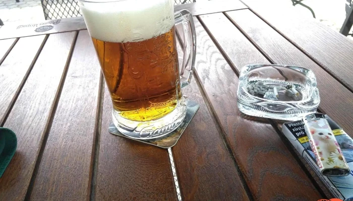 Svejk Pivnice U Vezicky Prazdroj - Poštovní 741
