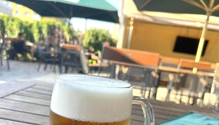 Svejk Pivnice U Vezicky Restaurace - Poštovní 741