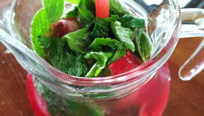 Svejk Restaurant Mojito - Čsl. Armády 1603
