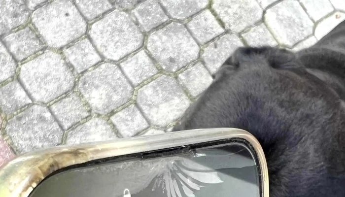 Svet Iphonu Prodej Mobilnich Telefonů - 1. Máje 539