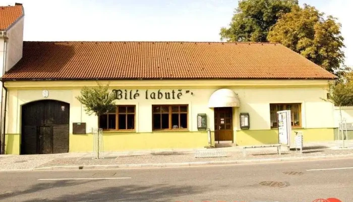U Bile Labute Od Vlastnika - Masarykova 523
