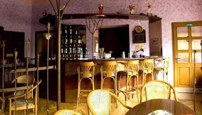 U Bile Labute Vzhled A Atmosfera - Masarykova 523