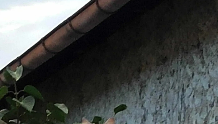 U Ceske Koruny Restaurace - Chloumek