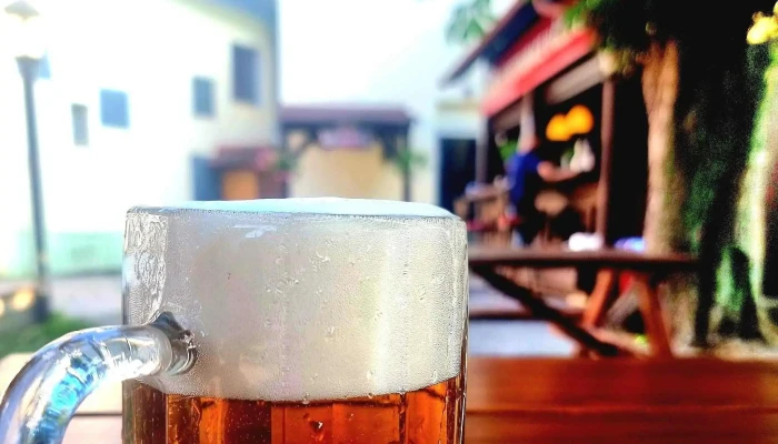 U Ceske Lipy Restaurace - P. Bezruče 1701