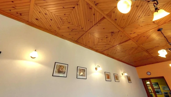 U Ceskeho Lva Vzhled A Atmosfera - Opočnice
