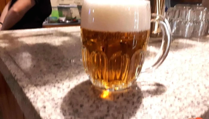 U Hrabetu Prazdroj - Suvorovova 158