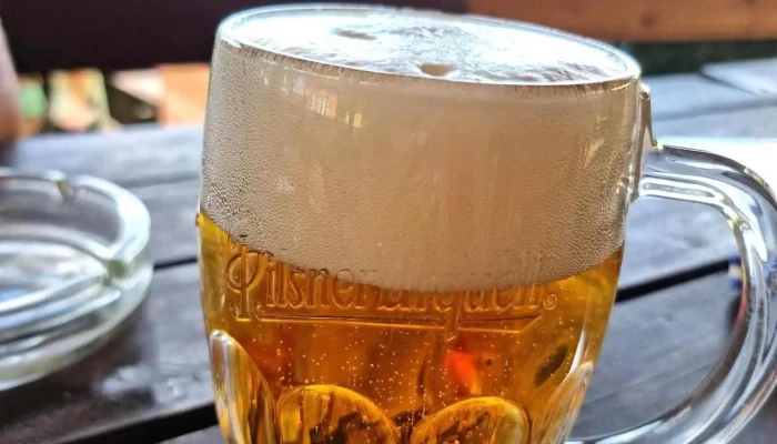 U Hrocha -  Jidlo A Piti - Županovice-dobříš
