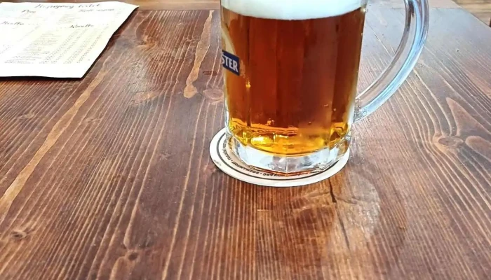 U Karlovych Varu Pivo - Masarykovo Nám. 284
