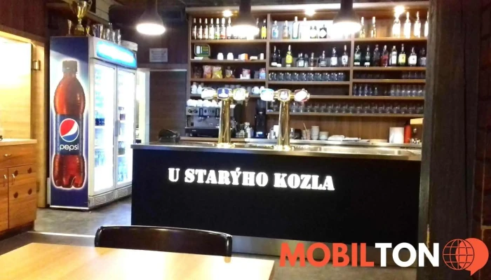 U Staryho Kozla Vzhled A Atmosfera - Legionářů 378