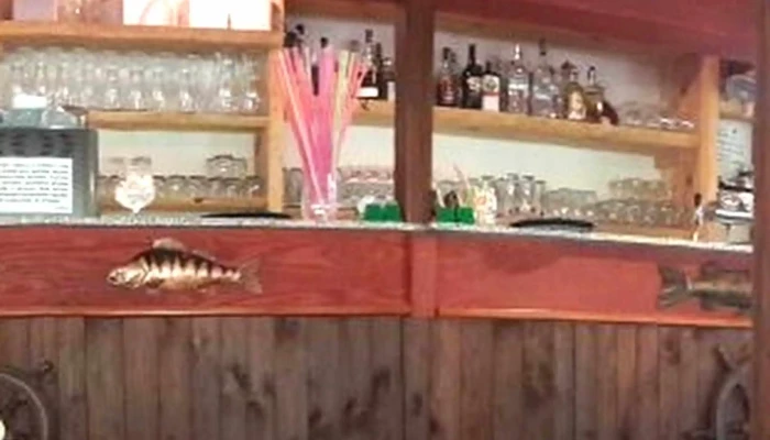 U Zlaty Rybky Rybi Restaurace - Lety U Dobřichovic-dobřichovice