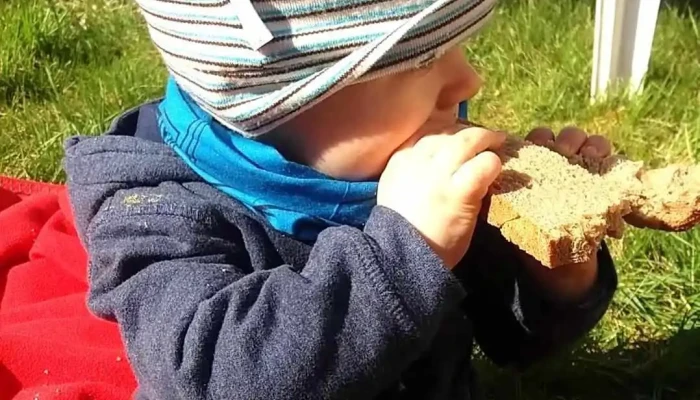 U Zlaty Rybky Videa - Lety U Dobřichovic-dobřichovice