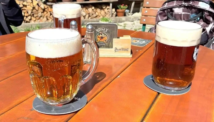 Usedlost Na Stodolci -  Pivo - Dolní Chřibská