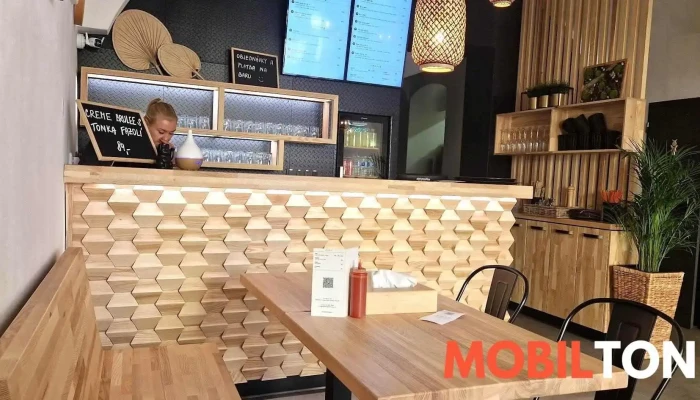 Vikarka Asia Bistro -  Vzhled A Atmosfera - Beneše Z Loun 133