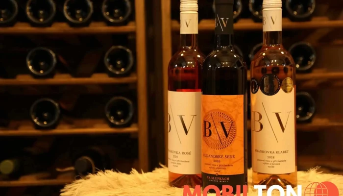 Vinoteka Ve Vysoke Jidlo A Piti - Rakovník I