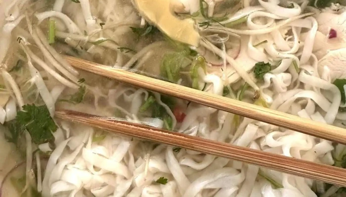 Wok Bistro -  Jidlo A Piti - Myslbekova 405 02