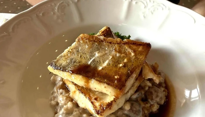 Zamecka Restaurace čislo - Liblice