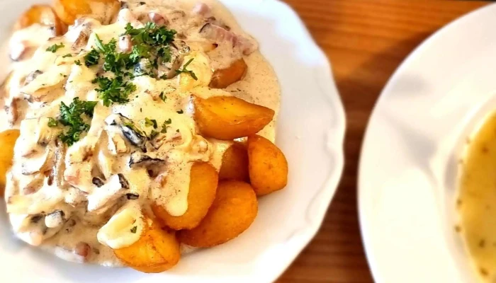 Zamecky Restaurant Polna Zamek 485 - Zámek 485