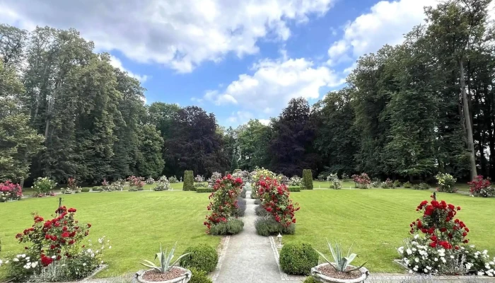 Zamek Jemniste Restaurace Blizko Mě - Czech Republic