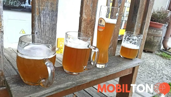 Zelenacova Sopa Pivo - Dlouhá 111