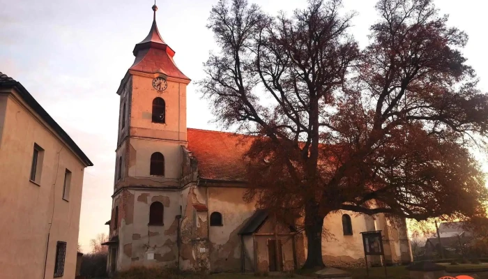 Zizelicenam Vse - Czech Republic