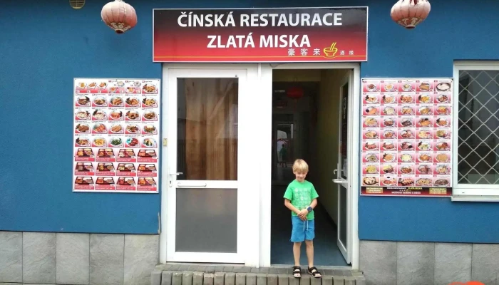 Zlata Miska -  Vse - Vnoučkova 1699