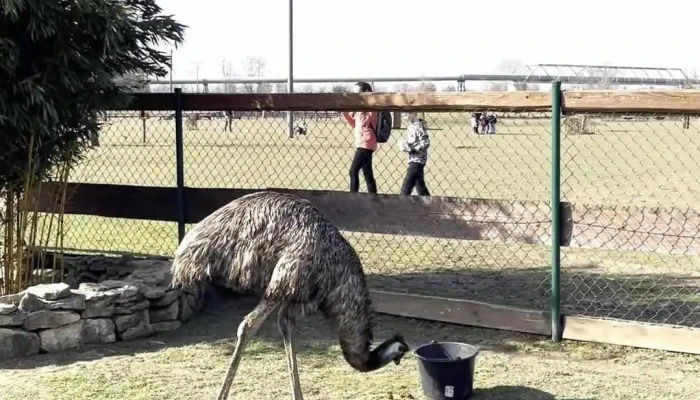 Zoopark Zelcin Videa - Hořín-mělník 1